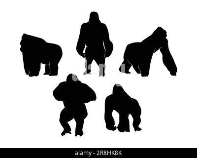 Ensemble de Gorillas Silhouette isolé sur fond blanc - Illustration vectorielle Illustration de Vecteur