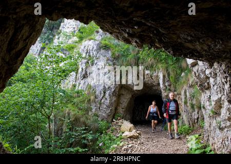 Strada Delle 52 Gallerie. Massiccio Del Pasubio Banque D'Images