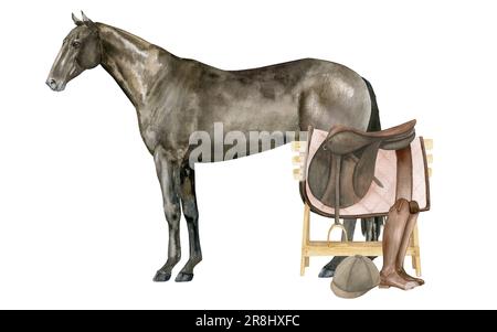 Illustration aquarelle d'un cheval de la baie de Thoroughbred debout en anglais. Isolé. Équipement équestre selle, coussin de selle, bottes en cuir marron, casque. Banque D'Images