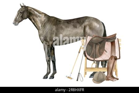 Illustration aquarelle d'un cheval de la baie de Thoroughbred debout en anglais. Isolé. Équipement équestre selle, coussin de selle, bottes en cuir marron, casque Banque D'Images