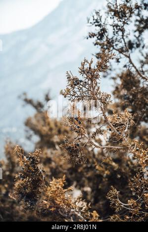 Une vue imprenable sur le mont Tanda Ziarat à Quetta, Baloutchistan, Pakistan Banque D'Images