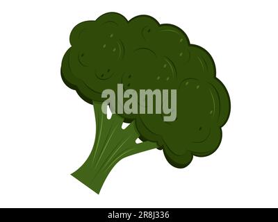Icône vecteur de brocoli isolée sur fond blanc. Légumes frais, nourriture saine à la ferme. Illustration de Vecteur