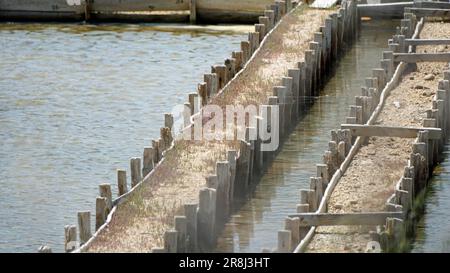 raffinerie de sel sur l'île de pag en croatie Banque D'Images