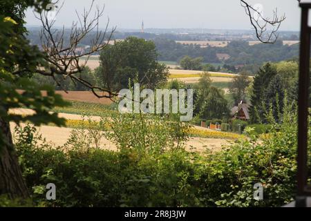 Découvrez la beauté et la grandeur enchanteresses de Vienne Banque D'Images