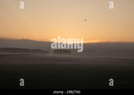 Avebury, Royaume-Uni. 21st juin 2023. Les fêtards et les adorateurs se sont réunis à Avebury pour accueillir le soleil le plus long jour de l'année. Crédit : Kiki Streitberger/Alamy Live News Banque D'Images