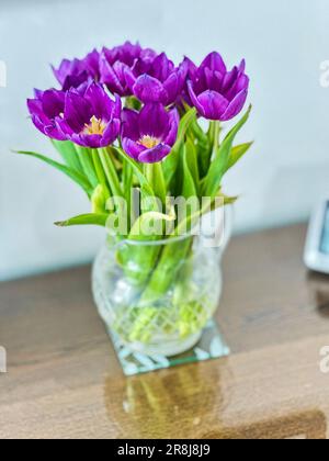 Didiers tulipes sur une table de salle à verre Banque D'Images