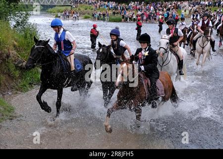 Beltane mercredi - Cornet Robert Girdwood et son cul Ailidh Copeland accompagné par d'anciens directeurs et plus de 160 adeptes montés la "Fording of the Tweed" au-dessus du pont Fotheringham dans le parc Hay Lodge est une vue merveilleuse de cheval et de cavalier, traversant le Tweed, produire une vue vue vue une fois par an pour beaucoup d'un observateur. Il a ses sensations fortes et des déversements, et dans l'année impaire certains cavaliers ont décidé de se rafraîchir à mi-chemin à travers. Les mots modifiés de la semaine du festival disent tout pour chaque cavalier de passage à niveau, 'Safe In, Safe OOT!' (Photo : Rob Gray) Banque D'Images