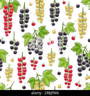 Vector Currant branches motif sans couture, répétition de l'arrière-plan avec des illustrations raisins de Corinthe noirs avec des feuilles vertes pour le papier d'emballage, collection de plats Illustration de Vecteur