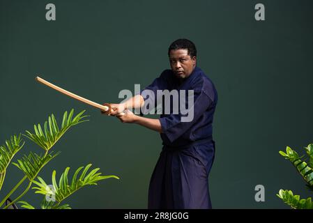 Portrait d'un bel artiste martial noir avec costume d'arts martiaux de kendo Banque D'Images