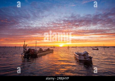 FRANCE. GIRONDE (33) BASSIN D'ARCACHON. COUCHER DE SOLEIL AVEC DES OSTRÉICULTEURS À FOND PLAT EN AVANT-PLAN Banque D'Images