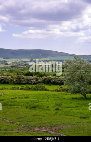 Vue sur la campagne à Wealden, East Sussex, Angleterre, au printemps, le long Man de Wilmington en arrière-plan sur la colline Banque D'Images