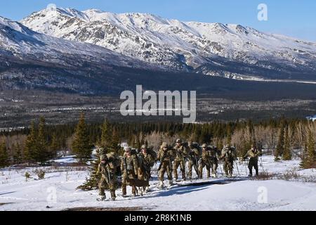 Cours des leaders par temps froid les élèves traversent le terrain accidenté du site d'entraînement de Black Rapids du centre d'entraînement de Northern Warfare. Les cadres de la NWTC ont travaillé des heures supplémentaires pour aider à répondre au besoin accru de plus d'experts de l'Arctique dans les unités pour aider à transmettre des connaissances essentielles dans les formations. (Photo de l'armée/John Pennell) Banque D'Images