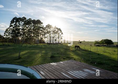 Coucher de soleil le jour ensoleillé dans la campagne de l'Uruguay. Banque D'Images