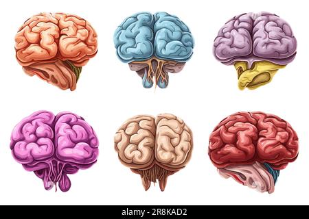 ui définit l'illustration vectorielle de l'isolat du cerveau sur fond blanc de retour à l'école concept Illustration de Vecteur