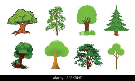 divers dessins animés colorés détaillés ensemble d'arbres de collection vecteur image isolée sur fond blanc Illustration de Vecteur