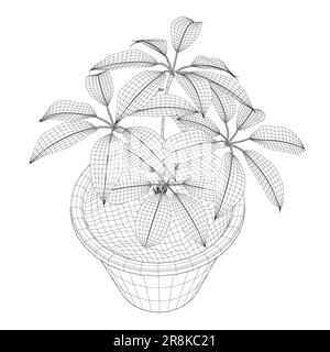 Plante dans l'élément filaire du pot de fleur. Version filaire de la ligne, contour et signe vecteur plein. Symbole de la plante d'origine. Fleurs en pots peintes ligne noire sur un coup Illustration de Vecteur