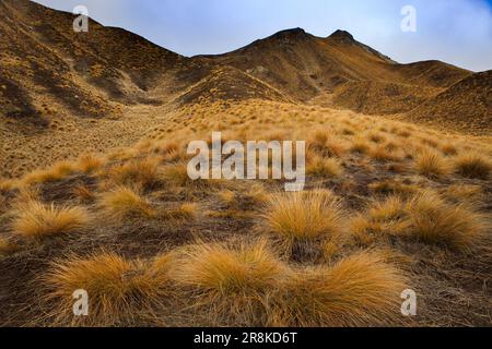 magnifique paysage de lindes passe otago - région canterburry southland nouvelle-zélande Banque D'Images