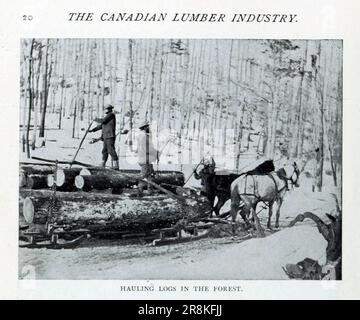 Le transport de grumes dans la forêt à partir de l'article L'INDUSTRIE CANADIENNE DU BOIS d'ŒUVRE. Par J. S. Robertson du magazine Engineering CONSACRÉ AU PROGRÈS INDUSTRIEL Volume X octobre 1896 NEW YORK The Engineering Magazine Co Banque D'Images