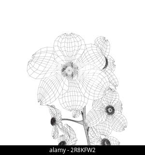 Décoration de fleurs filaires sur fond blanc. Image filaire noire des fleurs isolées sur fond blanc. Dessiner des fleurs d'esquisse. Cerisiers en fleurs Illustration de Vecteur