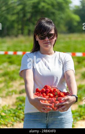 Jeune femme avec des fraises fraîches dans ses mains sur le fond du champ Banque D'Images