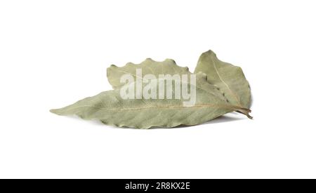 Trois feuilles de baie aromatiques sur fond blanc Banque D'Images