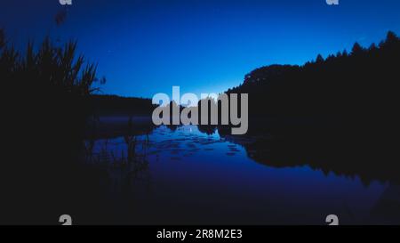 Scène de nuit bleue avec panorama sur le lac et la flore plantes haute herbe avant le lever du soleil après le coucher du soleil. Ciel étoilé bleu clair. Réflexions sur le lac Banque D'Images