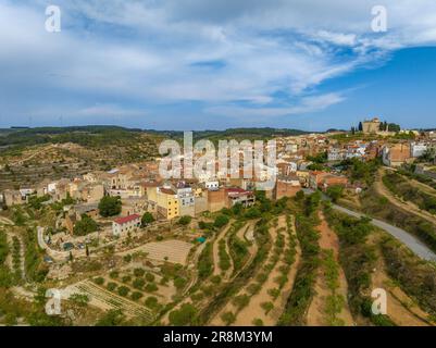 Vue aérienne du village de la Fatarella et des champs d'oliviers environnants (Terra Alta, Tarragone, Catalogne, Espagne) ESP: Vista aérea de la Fatarella Banque D'Images