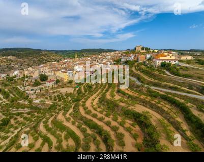 Vue aérienne du village de la Fatarella et des champs d'oliviers environnants (Terra Alta, Tarragone, Catalogne, Espagne) ESP: Vista aérea de la Fatarella Banque D'Images