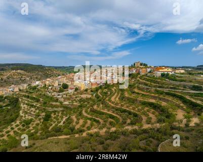 Vue aérienne du village de la Fatarella et des champs d'oliviers environnants (Terra Alta, Tarragone, Catalogne, Espagne) ESP: Vista aérea de la Fatarella Banque D'Images