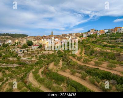 Vue aérienne du village de la Fatarella et des champs d'oliviers environnants (Terra Alta, Tarragone, Catalogne, Espagne) ESP: Vista aérea de la Fatarella Banque D'Images