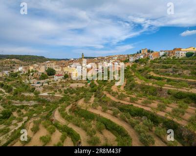 Vue aérienne du village de la Fatarella et des champs d'oliviers environnants (Terra Alta, Tarragone, Catalogne, Espagne) ESP: Vista aérea de la Fatarella Banque D'Images