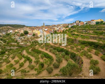 Vue aérienne du village de la Fatarella et des champs d'oliviers environnants (Terra Alta, Tarragone, Catalogne, Espagne) ESP: Vista aérea de la Fatarella Banque D'Images