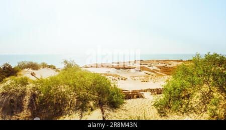Vue panoramique aérienne le paysage de la Ccuronian Spit en été avec la côte de mer baltique et la dune Parnidis. Nida, Neringa, Lituanie. Dunes de sable blanc, dune morte Banque D'Images