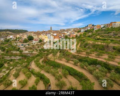 Vue aérienne du village de la Fatarella et des champs d'oliviers environnants (Terra Alta, Tarragone, Catalogne, Espagne) ESP: Vista aérea de la Fatarella Banque D'Images