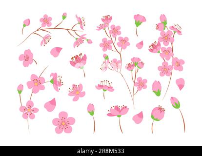 Ensemble de fleurs Sakura à motif icône plate Illustration de Vecteur