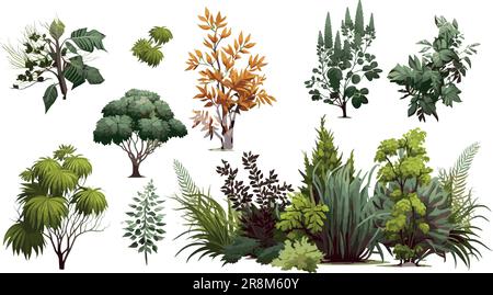 Arbustes d'ornement pour décorer un parc, un jardin ou une clôture verte. Illustration de Vecteur