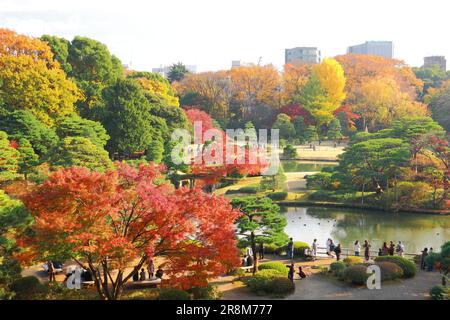 Couleurs d'automne à Rikugien Banque D'Images