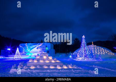 Vue nocturne sur le lac Towada en hiver Banque D'Images