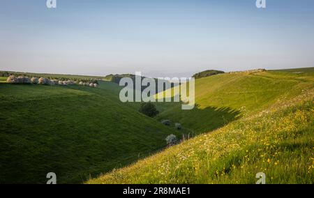 Digues Huggate dykes et fossés de l'âge du bronze dans les Yorkshire Wolds, East Yorkshire, Royaume-Uni Banque D'Images