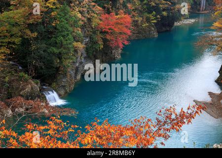 Feuilles d'automne dans la vallée de Dakigaeri Banque D'Images