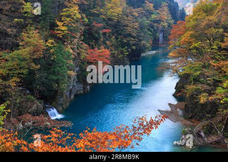 Feuilles d'automne dans la vallée de Dakigaeri Banque D'Images
