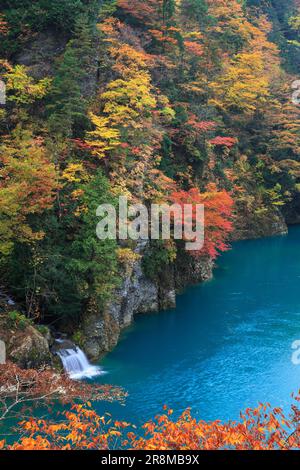 Feuilles d'automne dans la vallée de Dakigaeri Banque D'Images