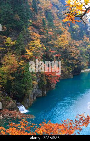 Feuilles d'automne dans la vallée de Dakigaeri Banque D'Images