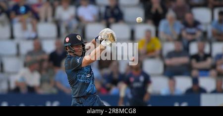 Northampton 21-juin 2023 : Harry est venu de Derbyshire Falcons pendant le match Blast de Vitality T20 entre Northamptonshire Steelbacks vs Derbyshire Falcons au terrain de comté de Northampton Angleterre . Banque D'Images