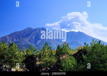 Taisho Lava Field et la fumée s'élevant de Sakurajima Banque D'Images