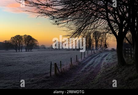 Froid tôt le matin Oxfordshire Paysage, lever du soleil champs dans le gel Banque D'Images