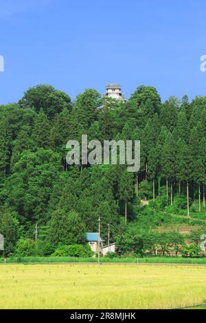 Château Echizen-Ono et rizières Banque D'Images