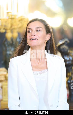 Madrid, Madrid, Espagne. 22nd juin 2023. La reine Letizia d'Espagne assiste à une réunion annuelle avec des membres du conseil d'administration de la Fondation Princesse des Asturies au Palais royal de 22 juin 2023 à Madrid, Espagne (image de crédit: © Jack Abuin/ZUMA Press Wire) USAGE ÉDITORIAL SEULEMENT! Non destiné À un usage commercial ! Banque D'Images