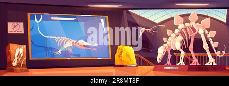 Salle du musée de la bande dessinée avec squelettes de dinosaures et pierres fossiles. Illustration vectorielle de la salle illuminée avec des expositions archéologiques sur des stands, des roches anciennes avec des empreintes préhistoriques, des crânes de dino, des os Illustration de Vecteur