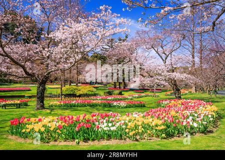 Parc aux fleurs de Hamamatsu Banque D'Images